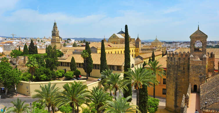Córdoba: tour guiado Mezquita-Catedral, sinagoga y Alcázar